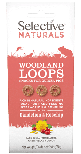 Woodland Loops