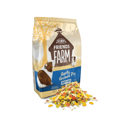 tff-gerty-guinea-pig-hover-thumbnail