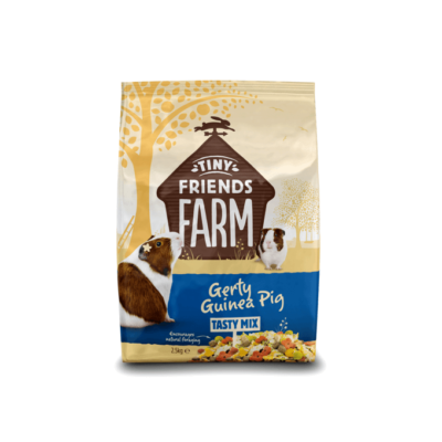 tff-gerty-guinea-pig-thumbnail